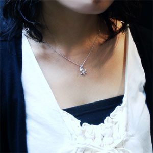 fj-t019-chain